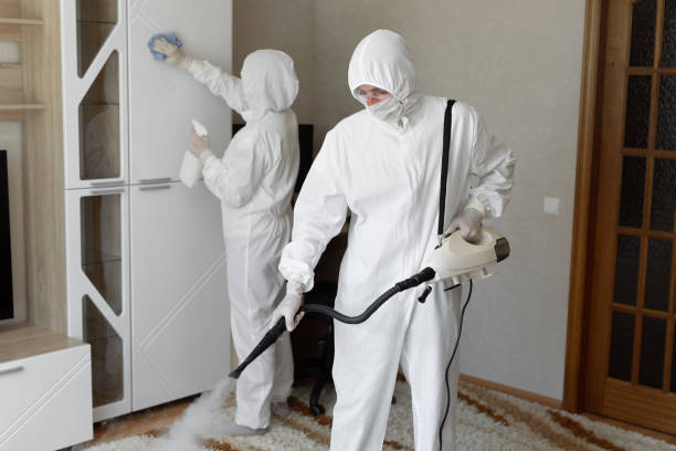 Best Post-Flood Mold Remediation in Cresskill, NJ
