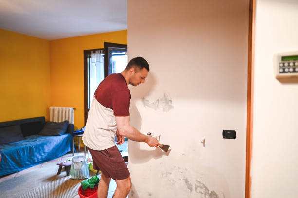 Best Post-Remediation Services in Cresskill, NJ